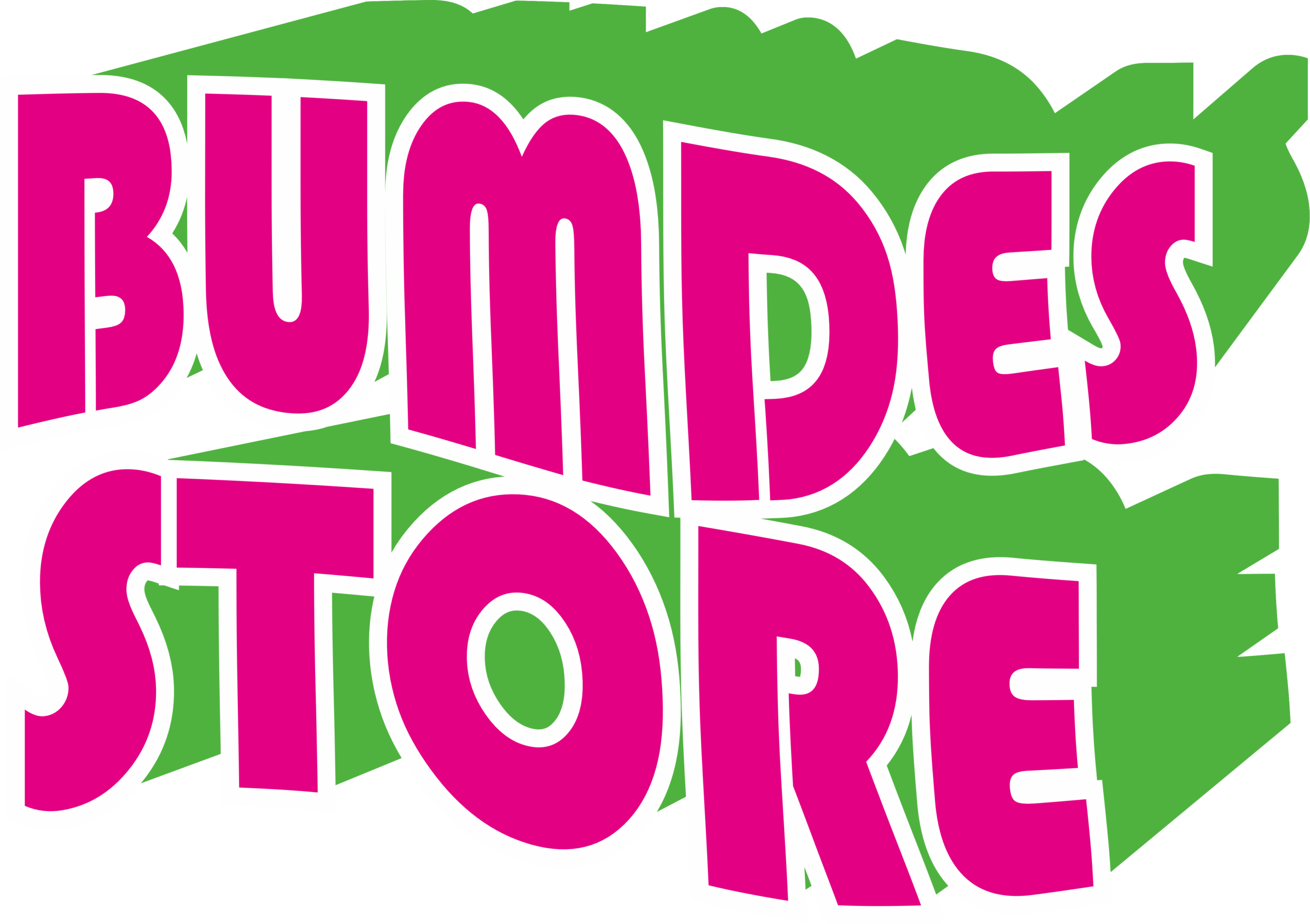 LOGO BUMDES STORE